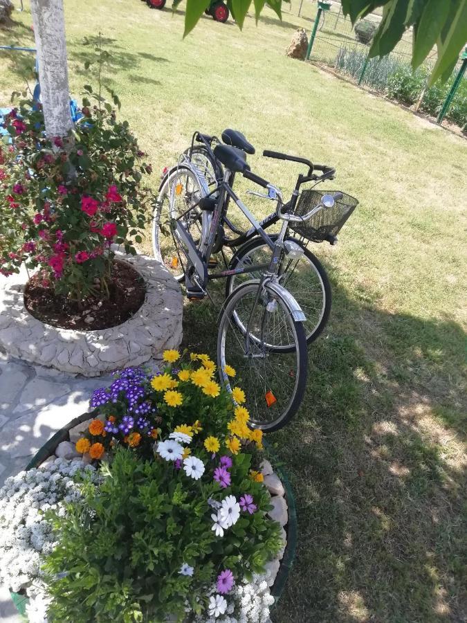 Gradac  Nikini Dvoriヴィラ エクステリア 写真