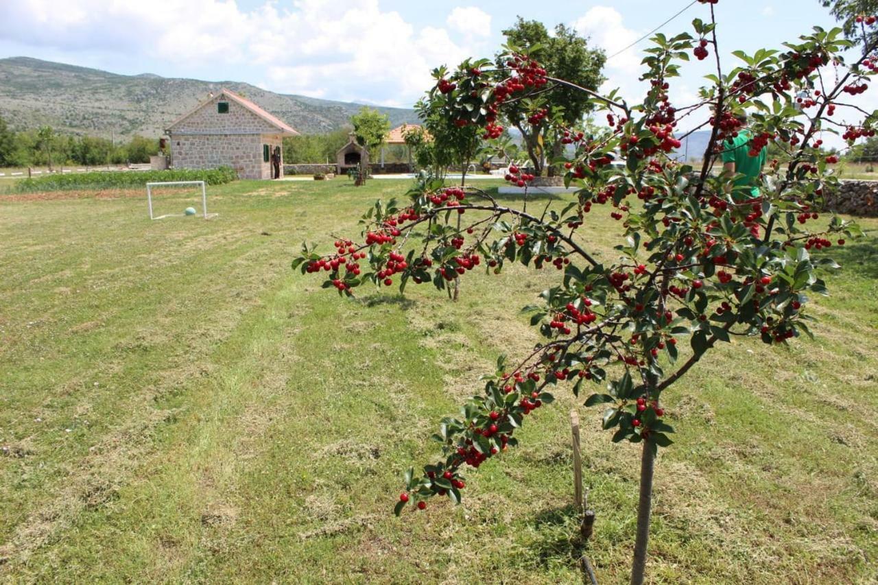 Gradac  Nikini Dvoriヴィラ エクステリア 写真